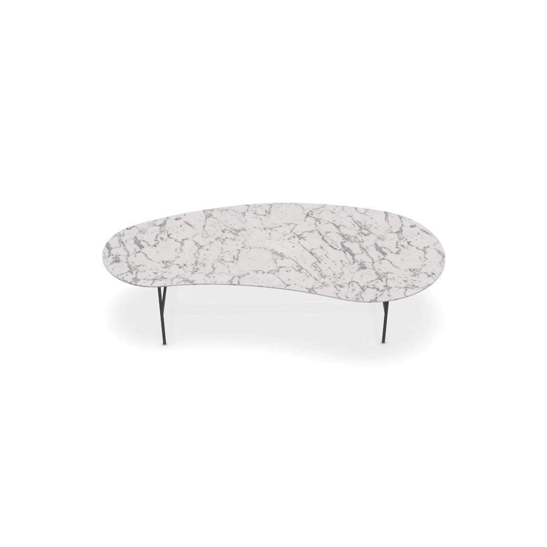 Formiche Coffee Table