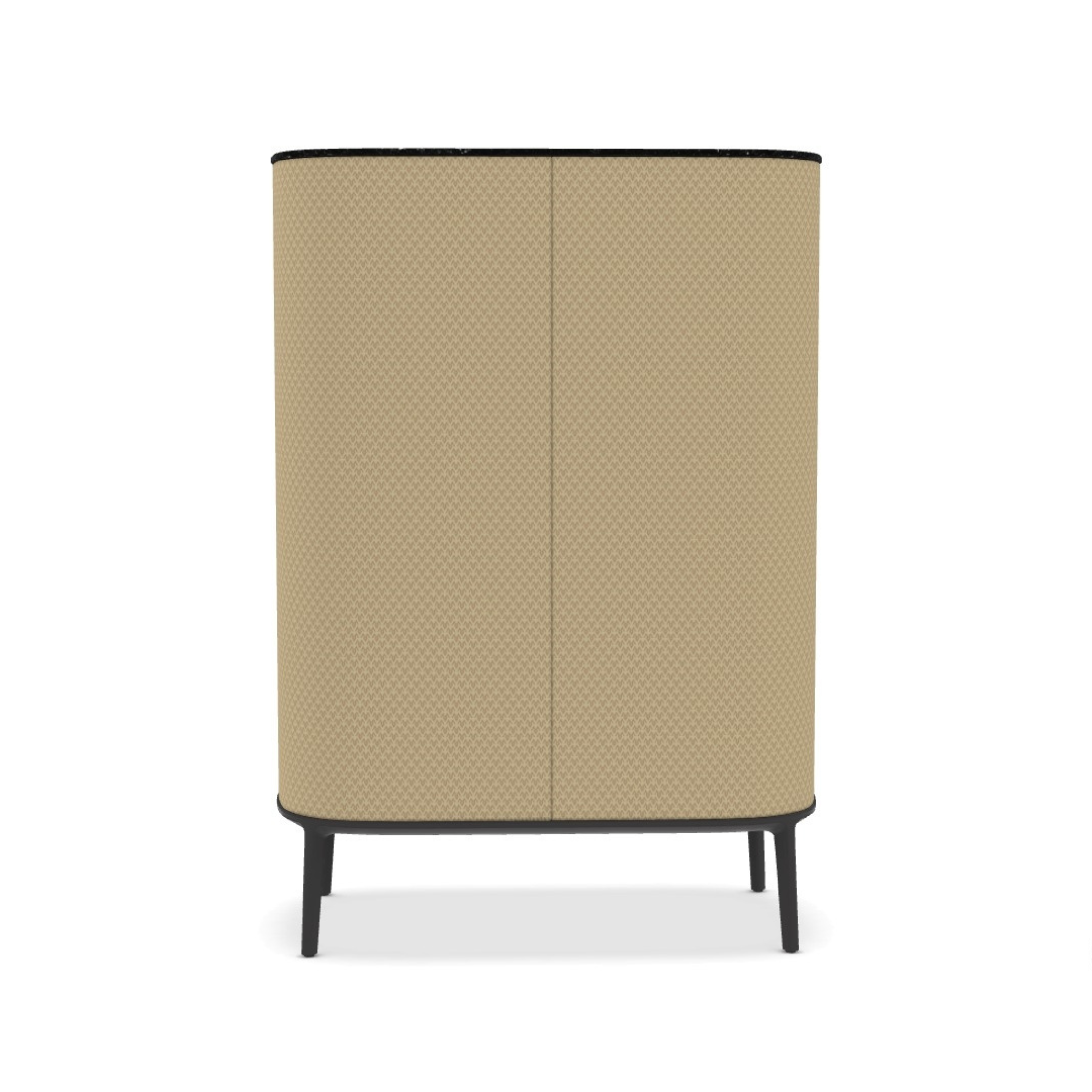 Шкаф для хранения Tesaurus с 2 распашными дверцами