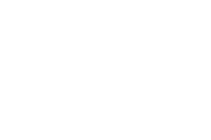 Maxalto logo