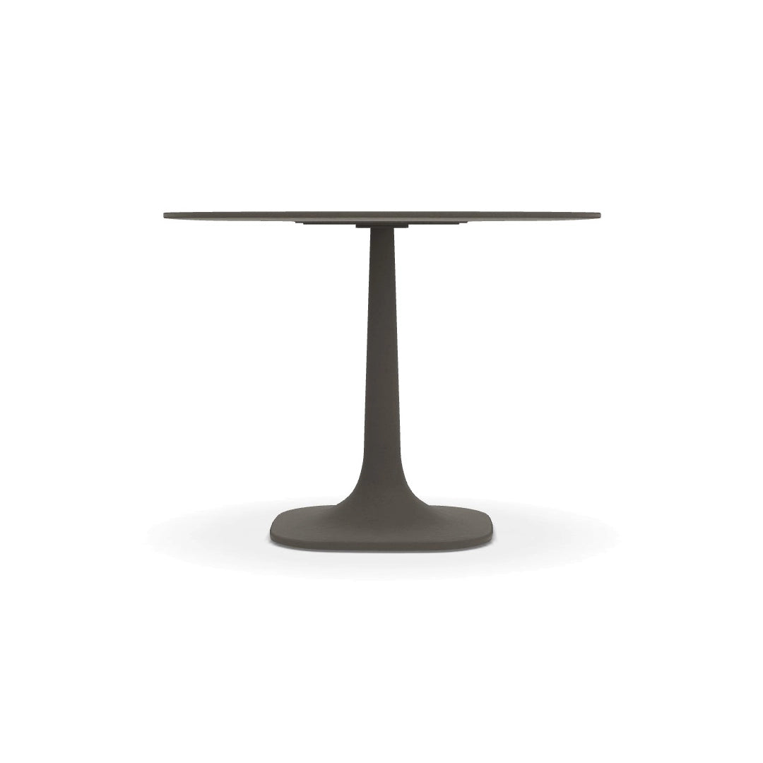 Pushpam Table TF100RA