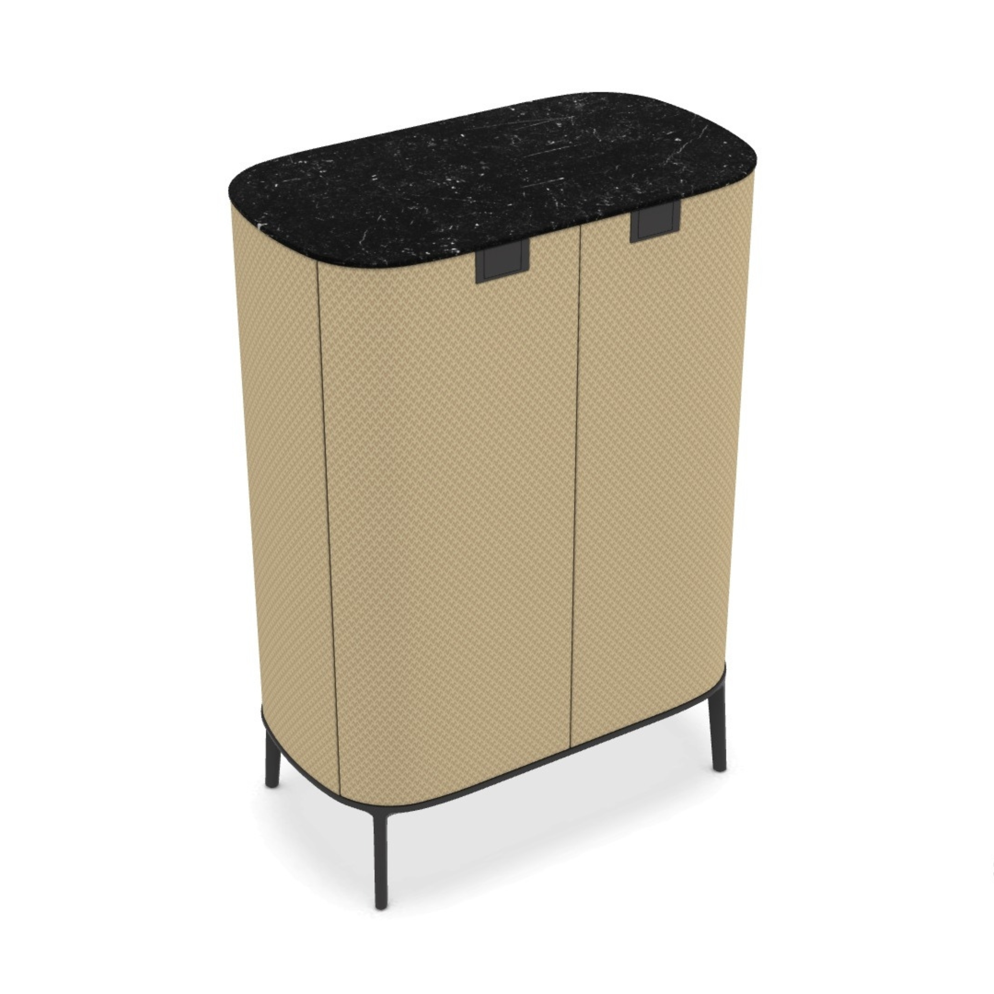 Tesaurus Storage Unit with 2 Hinged Doors